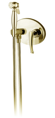 Встраиваемый гигиенический душ AltroBagno Beatrice 060113 Or AltroBagnoBeatrice060113Or фото в интернет-магазине Русалия