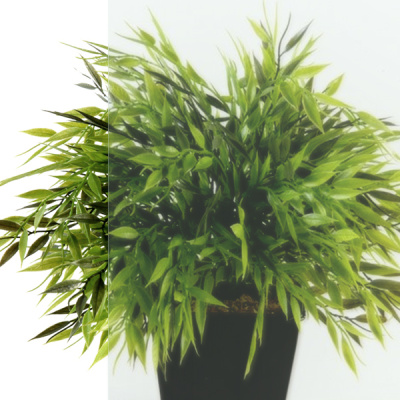 Душевая кабина Нова 88*88 А (7 мест+сифон D50) Щ0000062583 Тритон фото в интернет-магазине Русалия