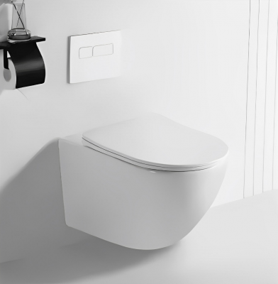 Унитаз SELLA Aria подвесной безободковый Cerutti SPA CT7183 фото в интернет-магазине Русалия