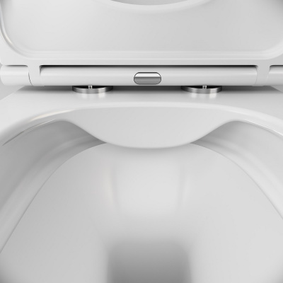 C8F1700SC Func подвесной унитаз 49 см FlashClean с сиденьем микролифт фото в интернет-магазине Русалия