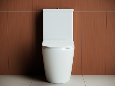 Унитаз компакт безободковый HIGHLIGHT CN1802 с сиденьем микролифт Ceramica Nova фото в интернет-магазине Русалия