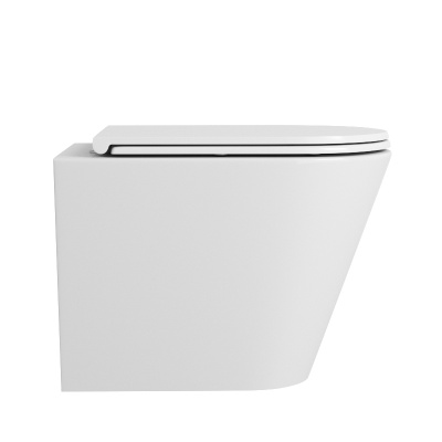 Унитаз подвесной Vind Ruta-H торнадо с сиденьем микролифт TOWLT190304 OWL фото в интернет-магазине Русалия