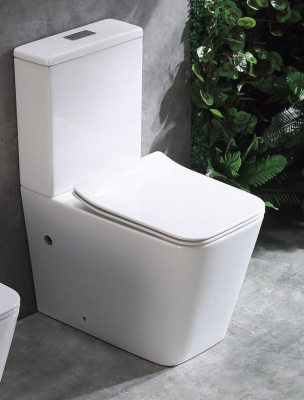 Унитаз напольный NS-2170 безободковый с сиденьем микролифт Ceramalux фото в интернет-магазине Русалия