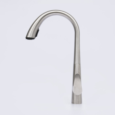 A8617 Смеситель для кухни Wasserkraft фото в интернет-магазине Русалия