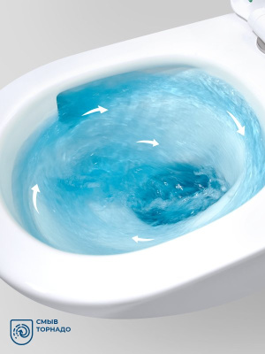 Унитаз подвесной безободковый Marino-TOR BB7026CH-TOR/SC Торнадо с сиденьем-микролифт Belbagno фото в интернет-магазине Русалия