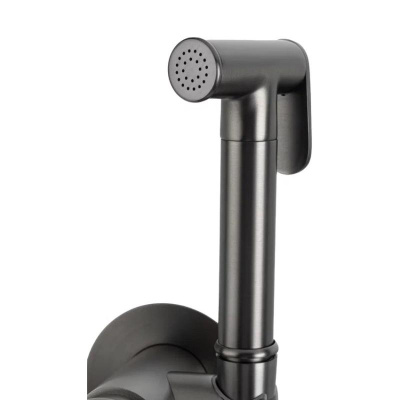 Гигиенический душ со смесителем встраиваемый FILARETE Roun FL100BG, графит фото в интернет-магазине Русалия