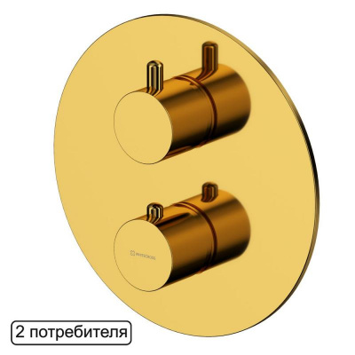 Смеситель термостатический для душа скрытого монтажа WHITECROSS Y Y1236GL (золото) фото в интернет-магазине Русалия