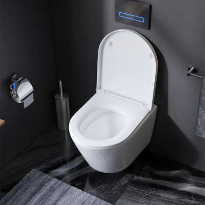 C741701SC Sense подвесной унитаз FlashClean с сиденьем микролифт фото в интернет-магазине Русалия