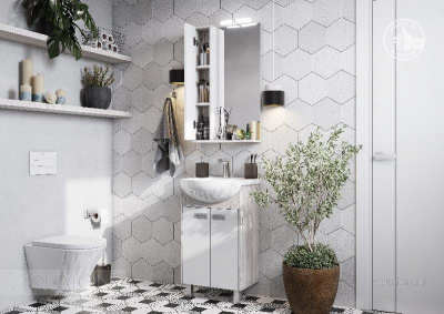 Зеркальный шкаф AQUATON Бекка PRO 50 белый, дуб сомерсет 1A214502BAC20 фото в интернет-магазине Русалия