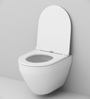 C701700WH Spirit V2.0 подвесной унитаз FlashClean фото в интернет-магазине Русалия