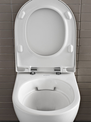 Комплект унитаз Acanto Rimfree с инсталляцией 500.128.21.A Geberit фото в интернет-магазине Русалия