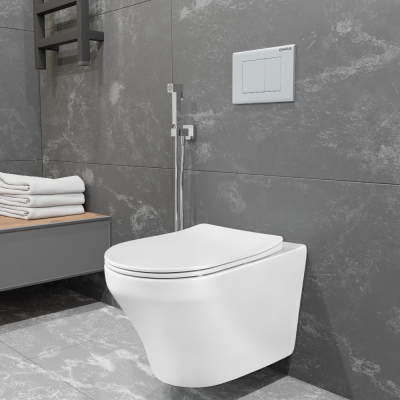 FRANZ D RIMLESS Безободковый подвесной унитаз EWC700-124W CHARUS фото в интернет-магазине Русалия