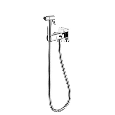 Смеситель DECOROOM DR25 с гигиеническим душем, встраиваемый (DR25063) фото в интернет-магазине Русалия