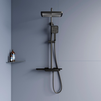 Душевая стойка RGW SP-34B черный фото в интернет-магазине Русалия