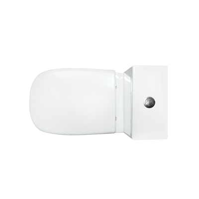 Унитаз Quadro SL с сиденьем микролифт с БИДЕТКОЙ QDRSLCC01040522B Sanita Luxe фото в интернет-магазине Русалия