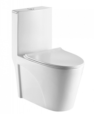 Унитаз-моноблок WELZBACH 001 GL-WT с сиденьем микролифт WeltWasser фото в интернет-магазине Русалия