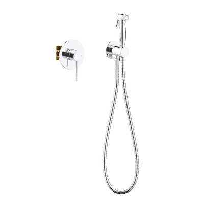 Смеситель встроенный с гигиеническим душем Timo Saona (2389/00SM) хром фото в интернет-магазине Русалия