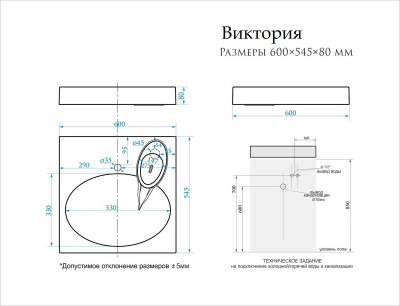 Раковина над стиральной машиной Виктория 60/55 с комплектующими SuperSan фото в интернет-магазине Русалия
