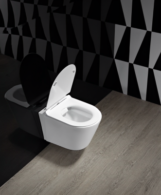 Унитаз ORTLER Aria подвесной безободковый Cerutti SPA CT7182 фото в интернет-магазине Русалия