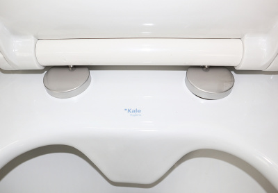 Унитаз подвесной безободковый 310200100366+310200700038 MOOD 2.0 с сиденьем микролифт Kale фото в интернет-магазине Русалия