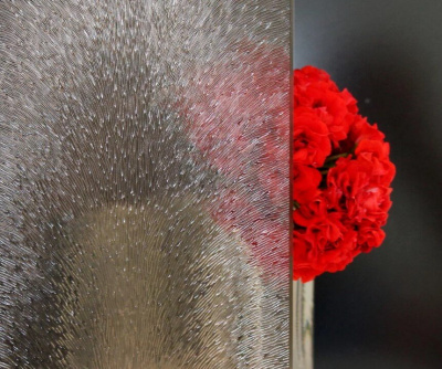 Распашная дверь для душа 80 PA-02 RGW фото в интернет-магазине Русалия