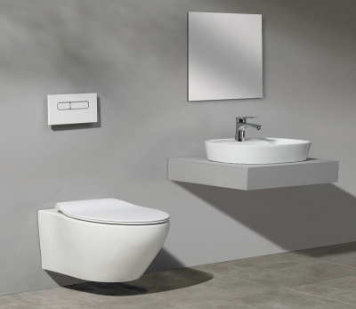 Раковина накладная овальная D1346 CeramaLux фото в интернет-магазине Русалия