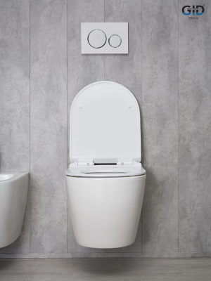 Унитаз подвесной Gid Tr2122b 62256Y белый 53.5x36x35 фото в интернет-магазине Русалия