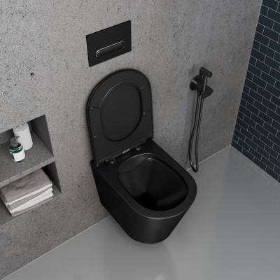 Унитаз подвесной безободковый DK Venice (DT1026025) фото в интернет-магазине Русалия