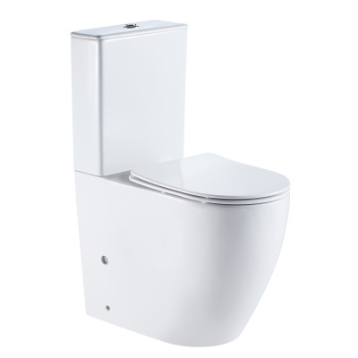 Унитаз безободковый AZ-1289A Mirada с сиденьем микролифт высокий Azario фото в интернет-магазине Русалия