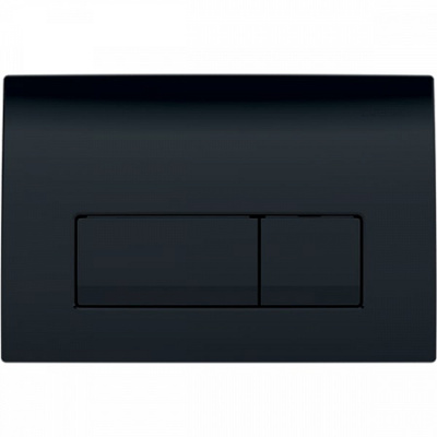 Клавиша смыва 115.105.DW.1 Delta 51, черная глянцевая Geberit фото в интернет-магазине Русалия