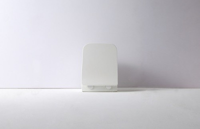 Унитаз подвесной CeramaLux 5170 бело-глянцевый фото в интернет-магазине Русалия