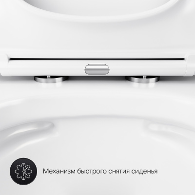 C901701SC Gem подвесной унитаз FlashClean с сиденьем микролифт фото в интернет-магазине Русалия