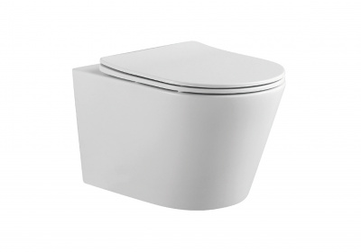 SET AQUATEK ВЕГА-1905-013 (рама AQUATEK Standard INS-0000012 с клавишей KDI-0000013 и крепежом KKI-0000002+унитаз ВЕГА AQ1905-00 с тонким сиденьем sc фото в интернет-магазине Русалия