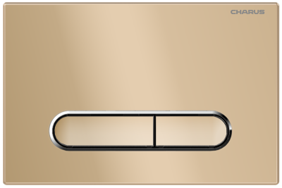 Клавиша для инсталляции CHARUS TM FP.340.51.01 фото в интернет-магазине Русалия