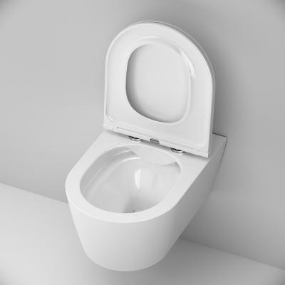 C8F1701SC Func подвесной унитаз 54 см FlashClean с сиденьем микролифт фото в интернет-магазине Русалия