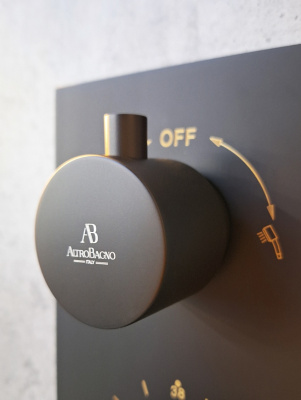 Душевая система с термостатом AltroBagno Unione 040408 MB AltroBagnoUnione040408MB фото в интернет-магазине Русалия