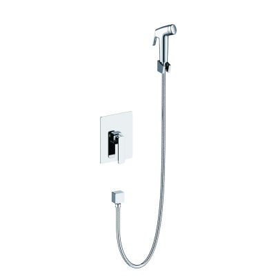 Смеситель встроенный с гигиеническим душем Timo Torne (4359/00SM) хром фото в интернет-магазине Русалия