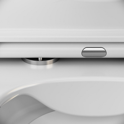 C8F1700SC Func подвесной унитаз 49 см FlashClean с сиденьем микролифт фото в интернет-магазине Русалия