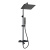 A299.162.218.BM Thermo Душевой комплект с термостатическим смесителем Wasserkraft фото в интернет-магазине Русалия