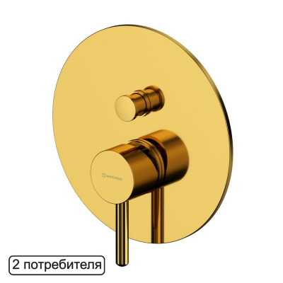 Смеситель для душа скрытого монтажа WHITECROSS Y Y1235GL (золото) фото в интернет-магазине Русалия
