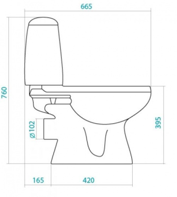 Унитаз - компакт с сиденьем микролифт Цезарь 1WH301746 Сантек фото в интернет-магазине Русалия