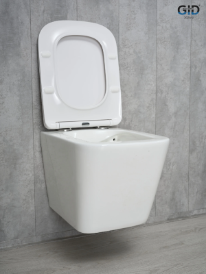 Унитаз подвесной Gid Tr2143 62257Y белый 49x34x36 фото в интернет-магазине Русалия