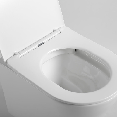 Унитаз подвесной Piatti VT1-11S, цвет белый, ультратонкое soft-close сиденье Vincea фото в интернет-магазине Русалия