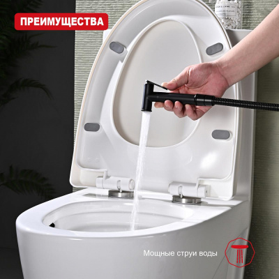 Лейка для гигиенического душа Raglo R460.03.06, черный фото в интернет-магазине Русалия