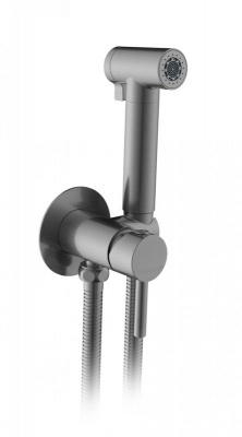 Встраиваемый гигиенический душ BM 060118 GrMt AltroBagno фото в интернет-магазине Русалия
