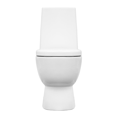 Унитаз Infinity Mono с сиденьем микролифт INFSLCC01040822 Sanita Luxe фото в интернет-магазине Русалия