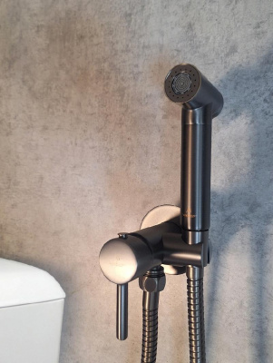 Встраиваемый гигиенический душ BM 060118 GrMt AltroBagno фото в интернет-магазине Русалия