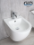 Биде подвесное Gid BDP-96 21101 белый 49.5x36.5x33 фото в интернет-магазине Русалия
