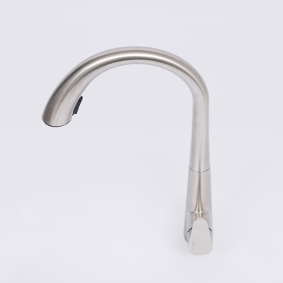 A8617 Смеситель для кухни Wasserkraft фото в интернет-магазине Русалия