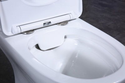 Унитаз безободковый BB130CPR с бачком BB130T Steam Belbagno фото в интернет-магазине Русалия